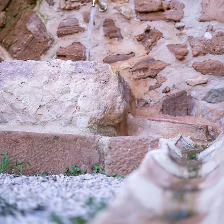 Mas De Pascual 아파트